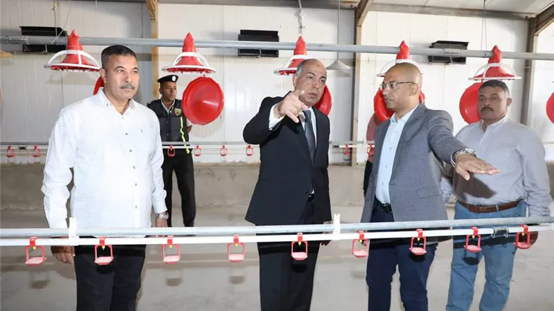 محافظ المنيا يتفقد مشروعات تسمين الدواجن والمجزر الآلي