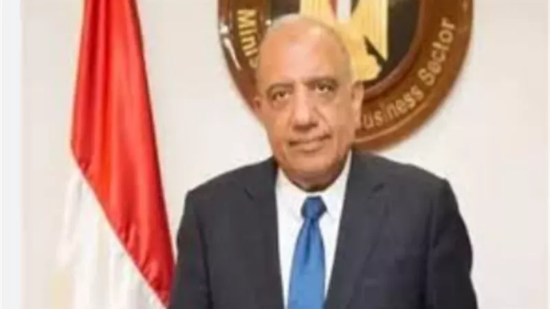 عصمت يعترف بحيل سارقي الكهرباء ويصر على استرداد حق الدولة