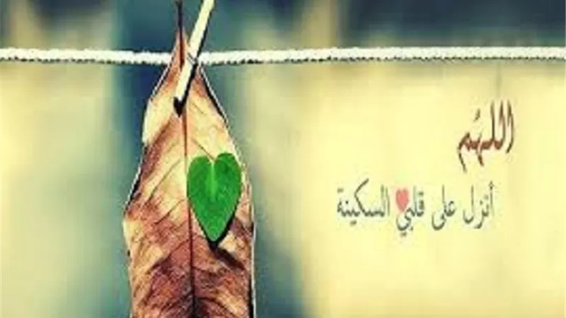 ستة مواضع للسكينة ذكرها الله تعالى فى القرآن الكريم