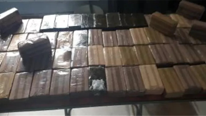 القبض على 14 متهماً بحوزتهم حشيش وإستروكس وهيروين بالمنوفية