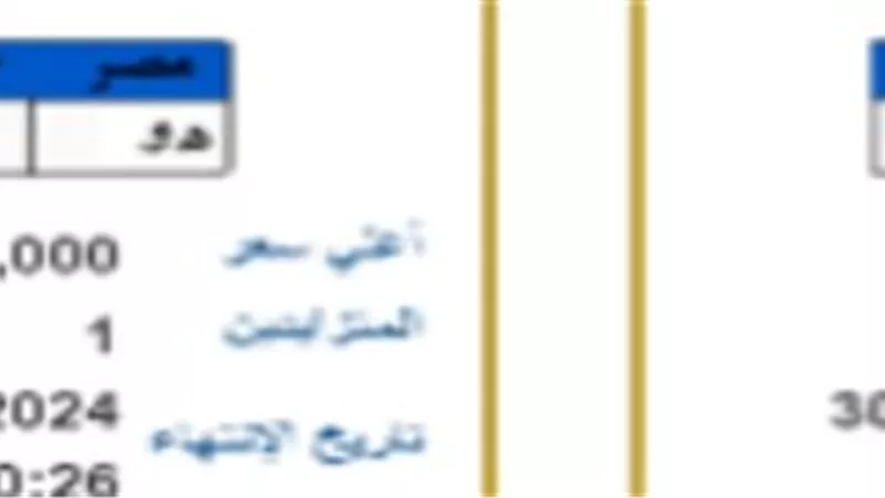لوحات معدنية مميزة تدخل المنافسة والمزايدة تصل لمليون جنيه