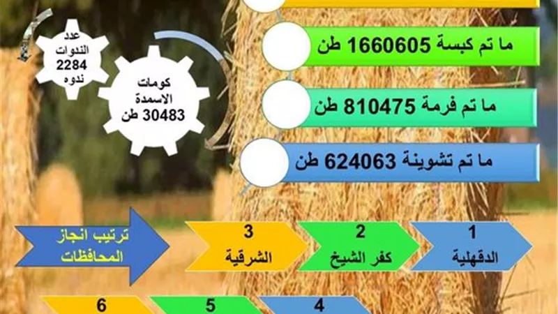 الزراعة: حصاد 99% من المساحات المنزرعة بالأرز وإنتاج 30 ألف طن أسمدة