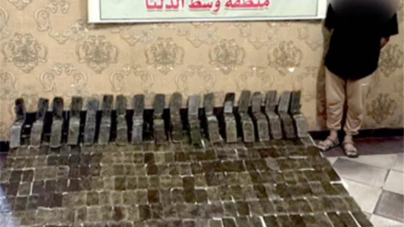 ضبط 