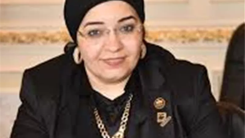 عريبي: مشروع قانون مجلس التعليم يسهم فى بناء الشخصية المصرية