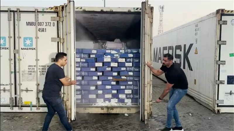 ضبط 70 كيلو جرام لمخدر الكوكايين داخل حاوية بميناء الإسكندرية