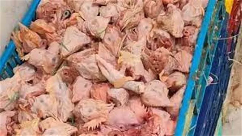 القبض على مدير محل دواجن يشتبه فى عدم صلاحيتها ببولاق
