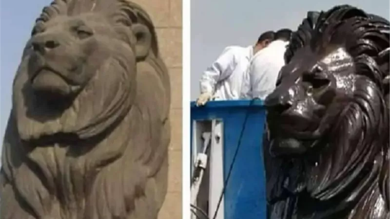 أول تعليق من 