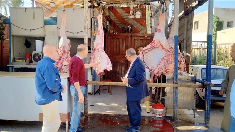 280 جنيها سعر كيلو اللحوم البلدى بمنافذ بيع دمنهور