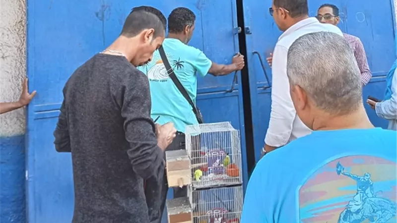إغلاق 13 ورشة حرفية بحي أول مدينة الإسماعيلية