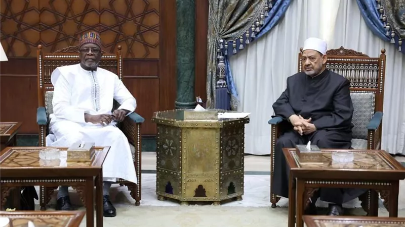 الطيب يستقبل وزير خارجية النَّيجر ويناقشان تعزيز دعم الوافدين