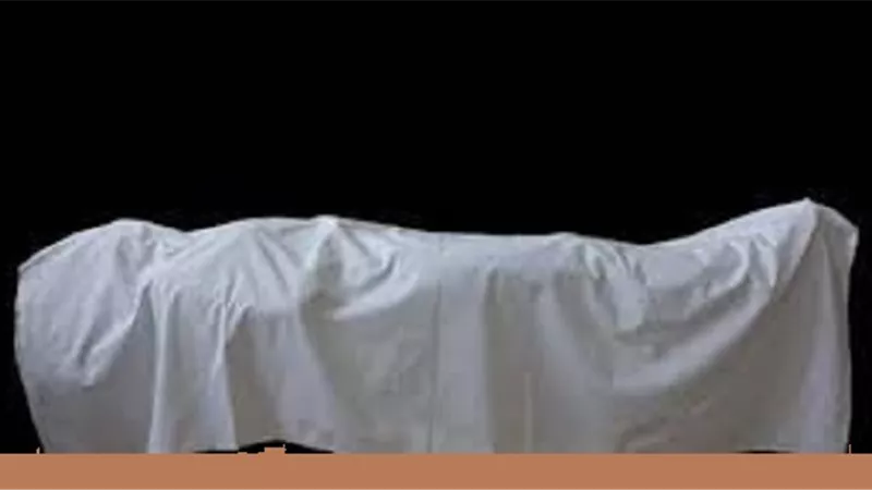 تعرف على أقصى مدة لإلحاق النسب بالميت