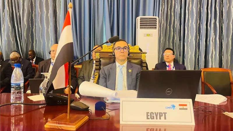 وزير الاستثمار يرأس وفد مصر في قمة تجمع الكوميسا ببوروندي