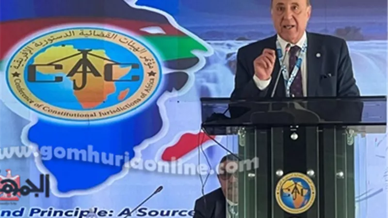 رئيس الدستورية العليا يشارك فى مؤتمر الهيئات القضائية الأفريقية