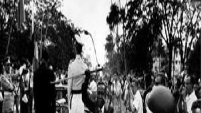نوع جديد من البرية يفوز بنجمة الجونة البرونزية للفيلم الوثائقي