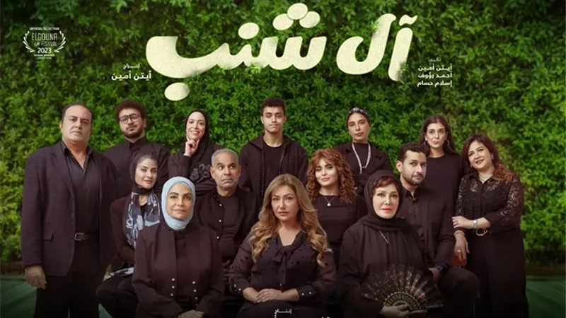 حصيلة إيرادات آل شنب آخر ليلة عرض فى السينمات