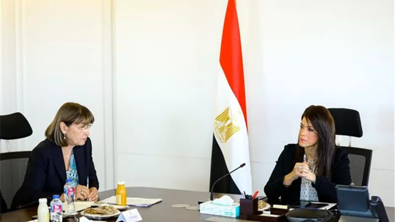 المشاط: جار الانتهاء من اللائحة التنفيذية لقانون التخطيط