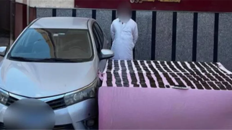 42 كيلو حشيش و2,5 كيلو هيروين بحوزة عنصرين إجراميين بالمنوفية