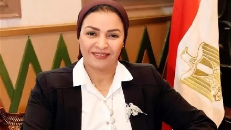 النائبة ألفت المزلاوي: يجب تمثيل المصريين في الخارج بمجلس الشيوخ