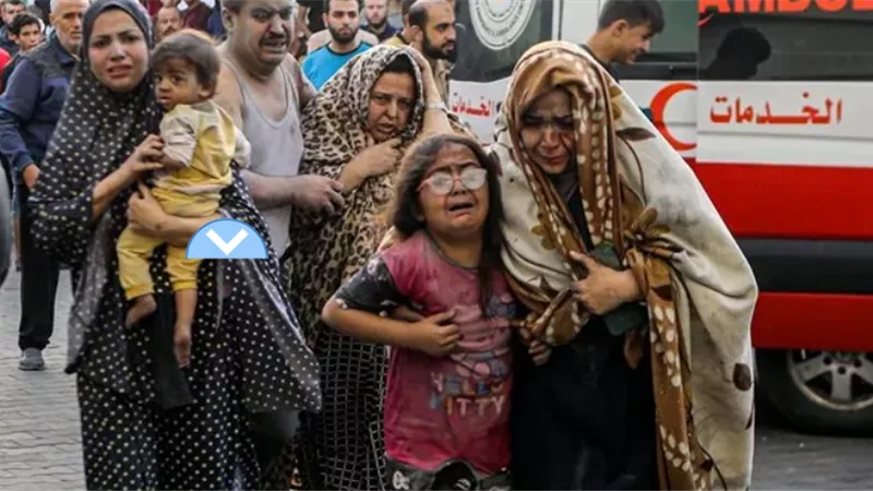 مصدر مطلع: مصر تواصل جهودها للتهدئة بغزة والسماح بإدخال المساعدات للقطاع