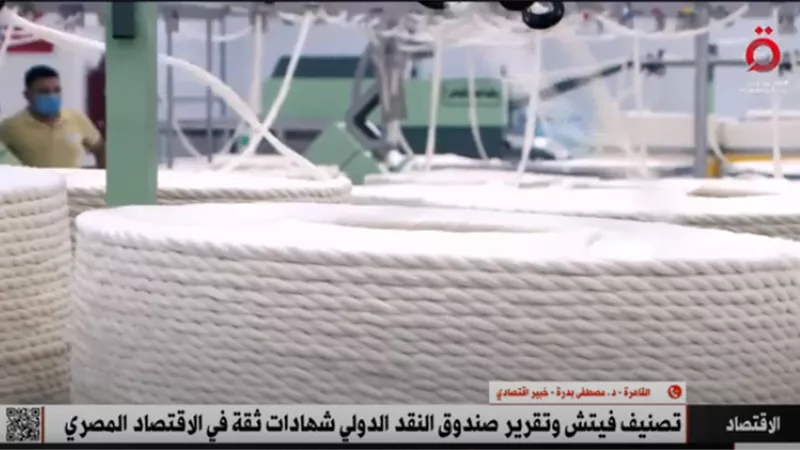 خبير: تقرير«فيتش» يؤكد التحسن الكبير في قدرات مصر الاقتصادية