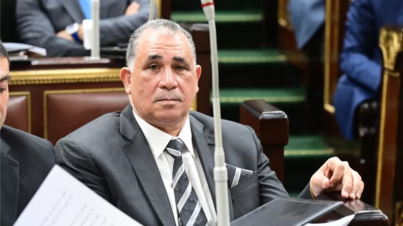 علام أمام مجلس النواب: المحاماة شريك للسلطة القضائية في تحقيق العدالة وسيادة القانون