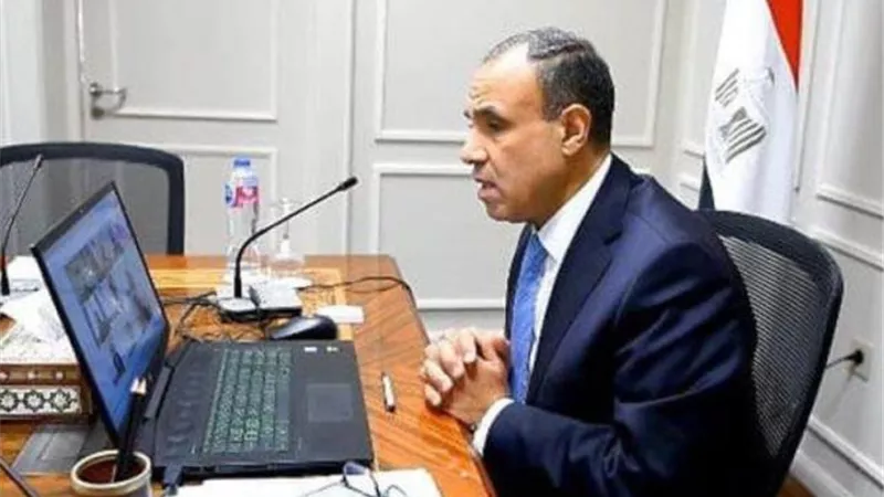 وزير الخارجية يعقد لقاءً افتراضياً مع أعضاء الجالية المصرية في الإمارات