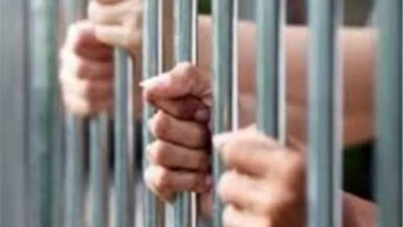 المشدد 15 عام لثلاثة أشقاء قتلوا شخص وأستعرضو القوة ضد 8 آخرين بالقليوبية