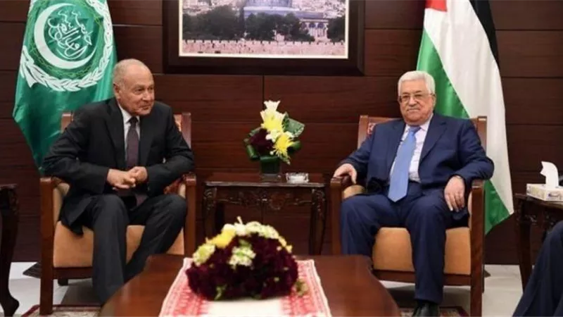 أبو الغيط و