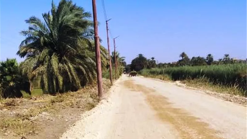 محافظ أسوان يوجه بالتدخل السريع لرصف طريق الحاجر بإدفو