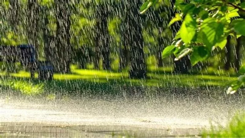 مطر وربٌ مجيب اللهم كل مافي قلوبنا