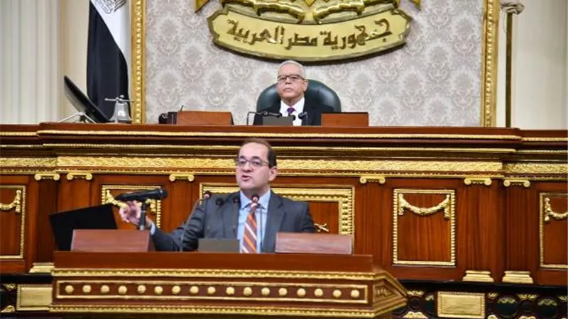 وزير المالية يكشف موعد تطبيق الحزمة الأولى من التسهيلات الضريبية