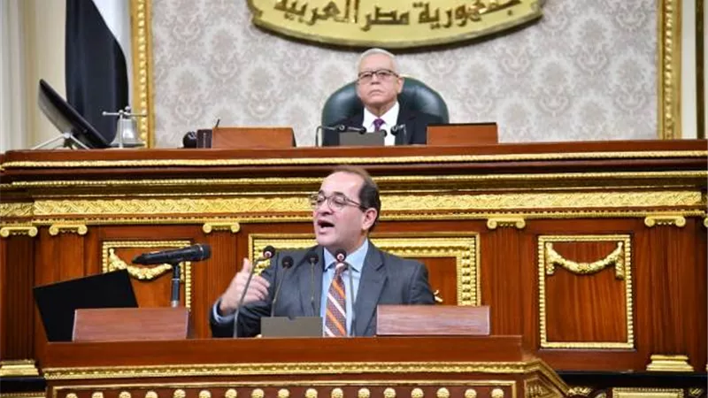 وزير المالية: نستهدف نظاما ضريبيا متكاملا