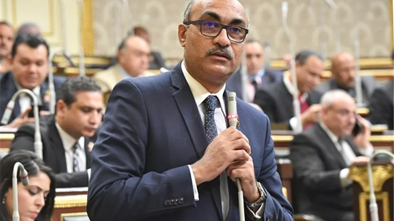 نائب يطالب بتفعيل شبكة الحماية من السقوط في 