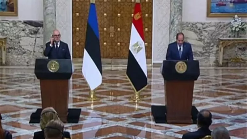 السيسي: توافق الرؤى على تعزيز العلاقات الثنائية بين مصر وإستونيا