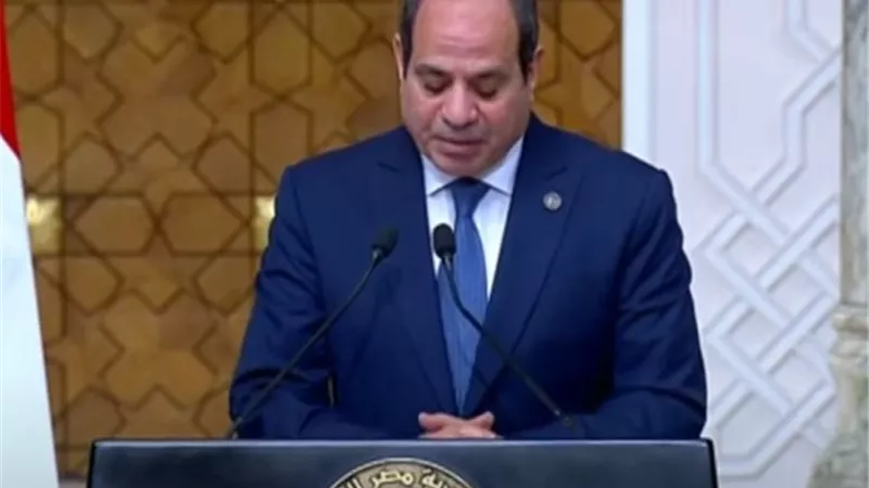 الرئيس يشدد على أهمية تبادل الخبرات مع إستونيا فى مختلف المجالات