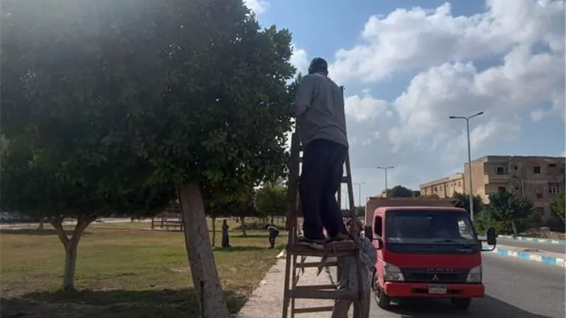تكثيف أعمال النظافة و الإنارة بالفنطرة شرق في الإسماعيلية