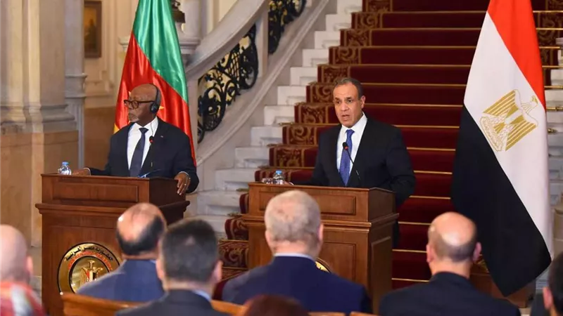 تفاصيل المؤتمر الصحفي لوزير الخارجية ونظيره الكاميروني بالقاهرة