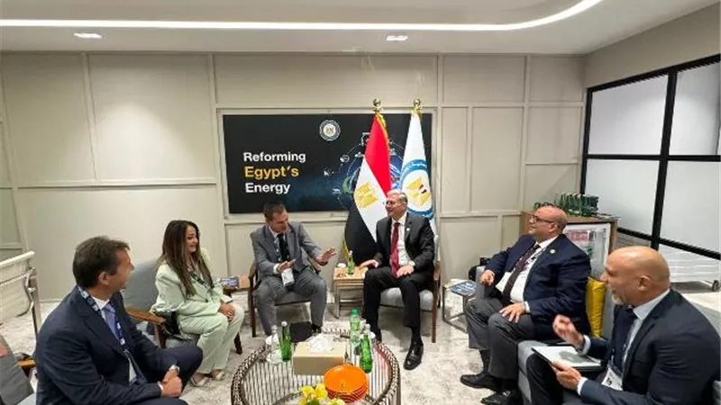 وزير البترول يبحث مع رئيس 