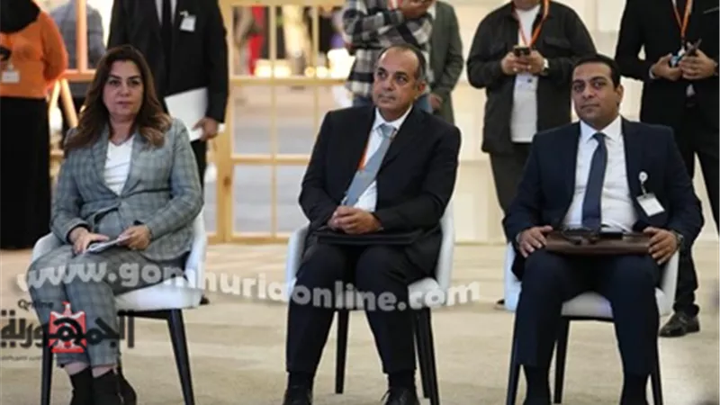 منال عوض: برنامج التنمية المحلية في صعيد مصر.. مشروع قومي