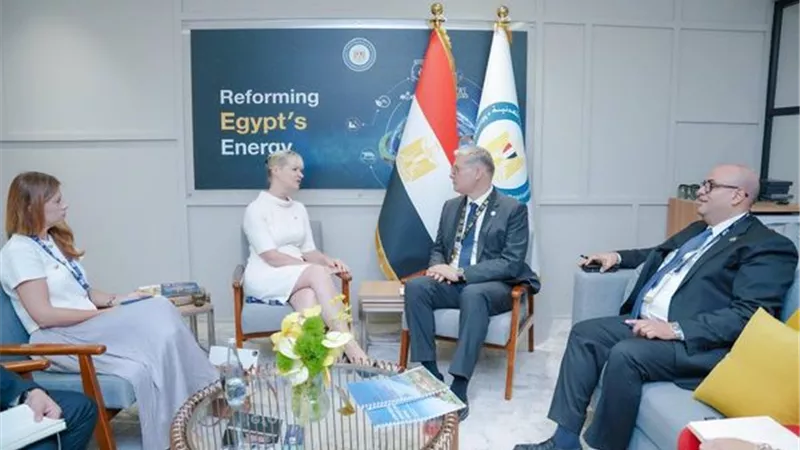 وزير البترول يبحث مع الأمين العام لمجلس الطاقة العالمي تعزيز المشترك