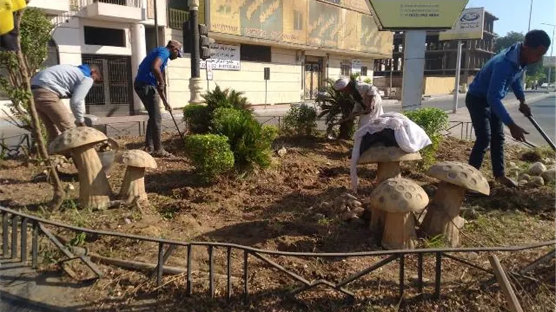 تجميل الميادين بالأشجار والزرع في الأقصر