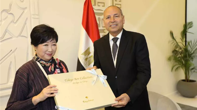 محافظا القاهرة وطوكيو يبحثان زيادة تنشيط التعاون بين المدينتين