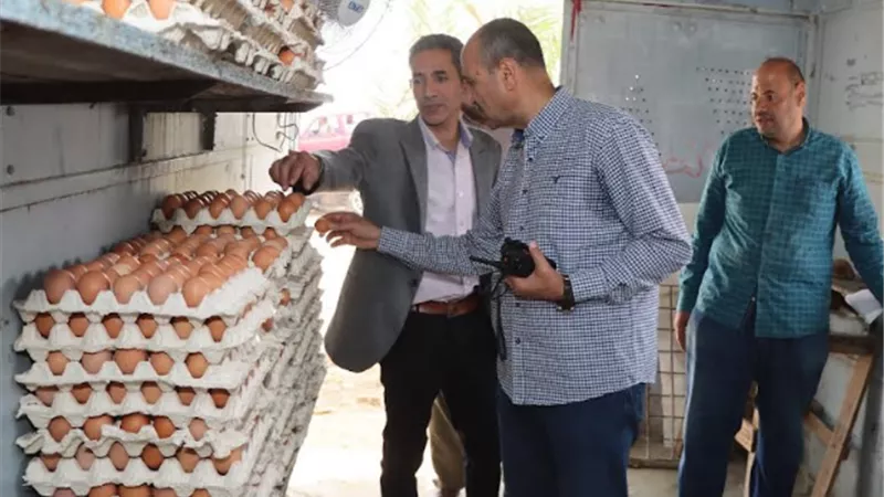 سكرتير بنى سويف يتفقد محطة انتاج بيض المائدة