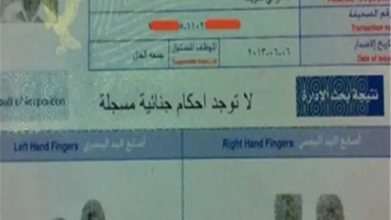 المصريون المسافرون خارج مصر.. خطوات استخراج الفيش والتشبيه