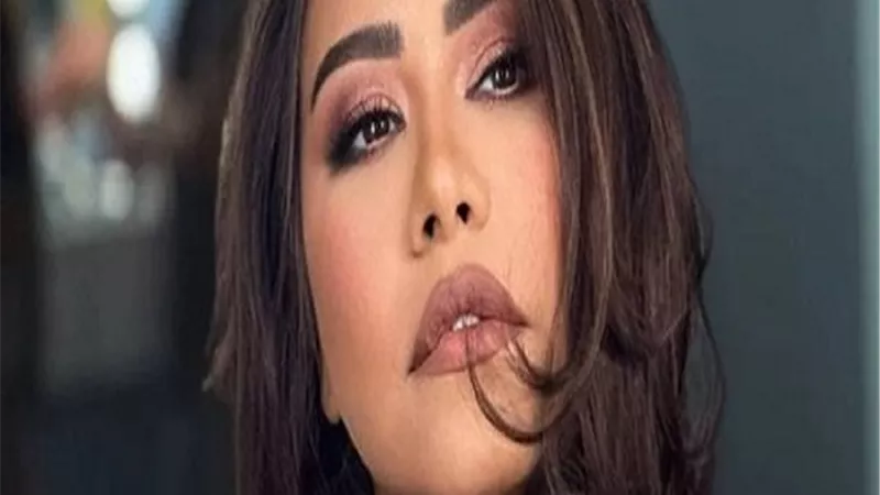 أحمد شيبة: شيرين عبد الوهاب الكوكب وأحلى صوت في الدنيا