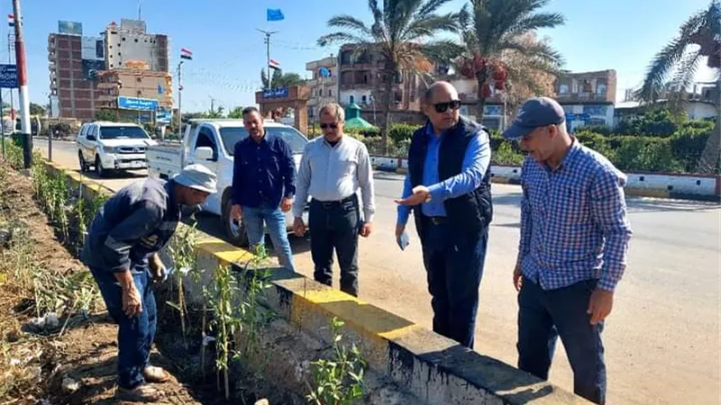 إستمرار زراعة الأشجار بدسوق ضمن المبادرة الرئاسية 