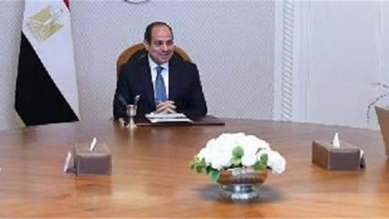 الرئيس يطلع على جهود قطاع الطيران لمواكبة النمو المستمر بحجم السياحة الوافدة لمصر