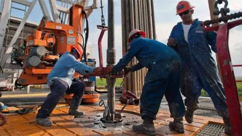 خطوات إنشاء شركة مع شريك أجنبي في مصر عبر البوابة الإلكترونية