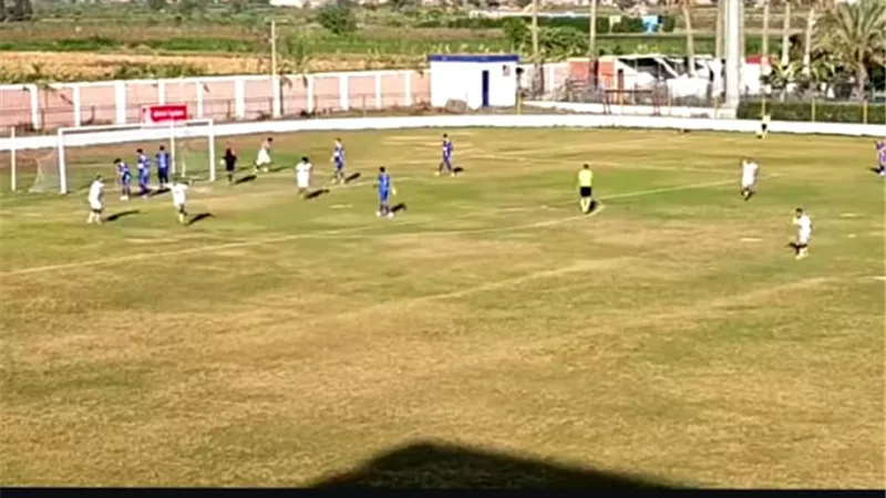 منية النصرهزم السنبلاوين