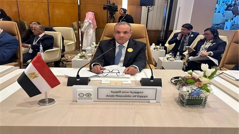 وزير الخارجية يشارك في الاجتماع التحضيري للقمة العربية الإسلامية غير العادية